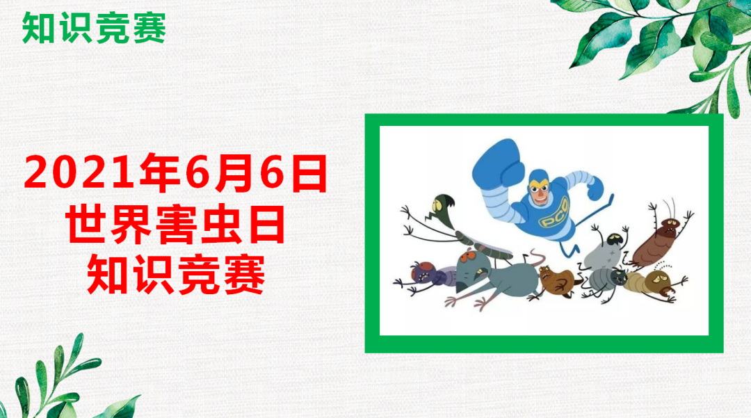 “做好消殺滅，共享好生活”幫幫在行動
