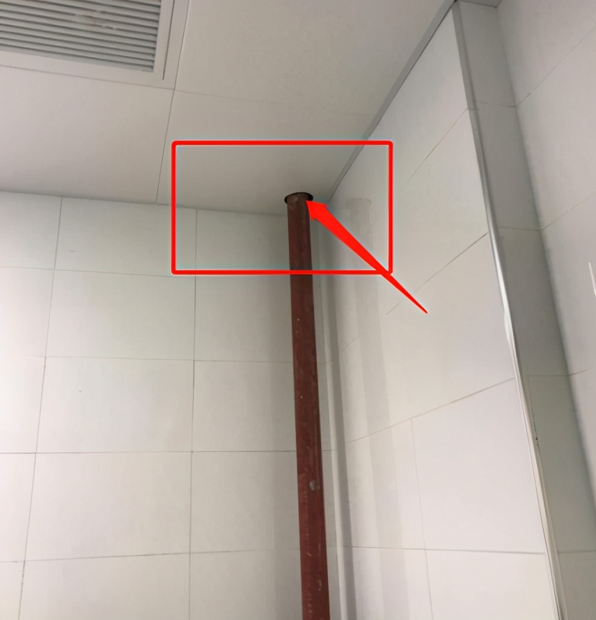 如何制作蟲害問題反饋報告(附完整版案例介紹)
