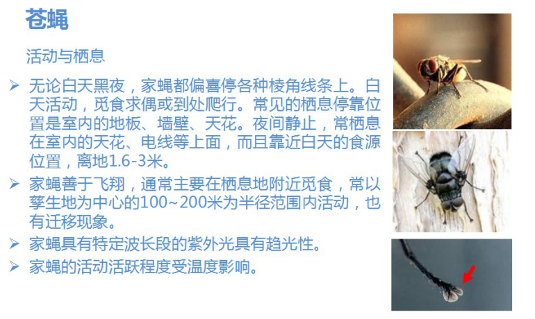 如何制作蟲害問題反饋報告(附完整版案例介紹)