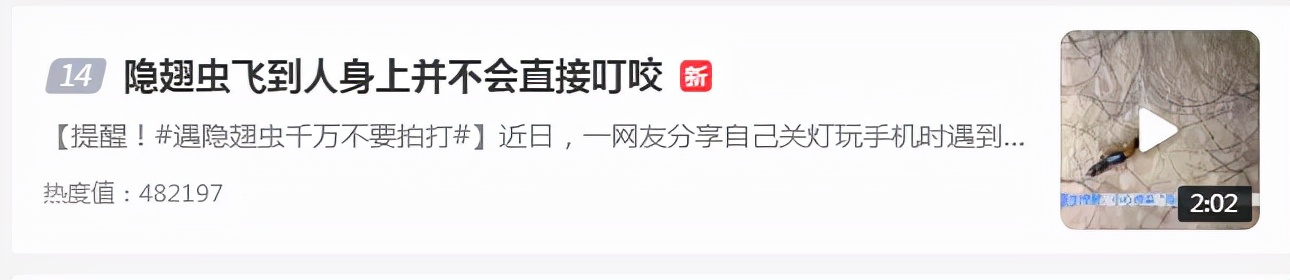 別再關燈玩手機了！這種蟲會毀容！切記不要拍......