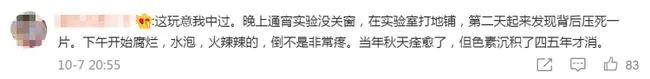 別再關燈玩手機了！這種蟲會毀容！切記不要拍......