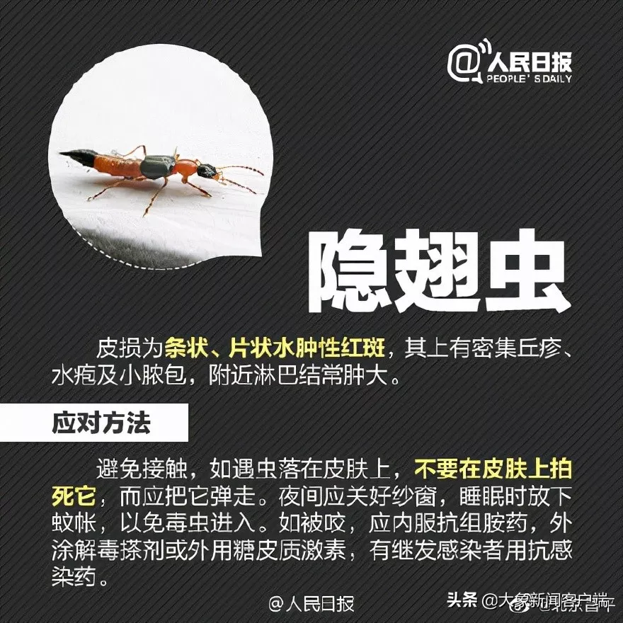 別再關燈玩手機了！這種蟲會毀容！切記不要拍......
