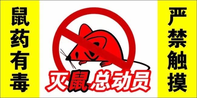 冬季最佳防鼠滅鼠方法你掌握了嗎？