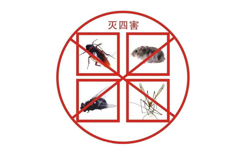 小區(qū)滅四害，有哪些潛在因素？