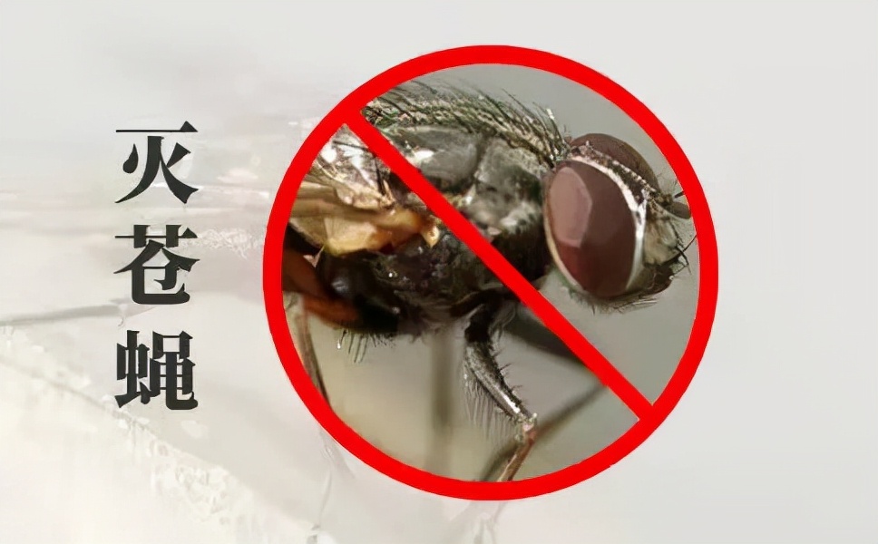 小區(qū)滅四害，有哪些潛在因素？